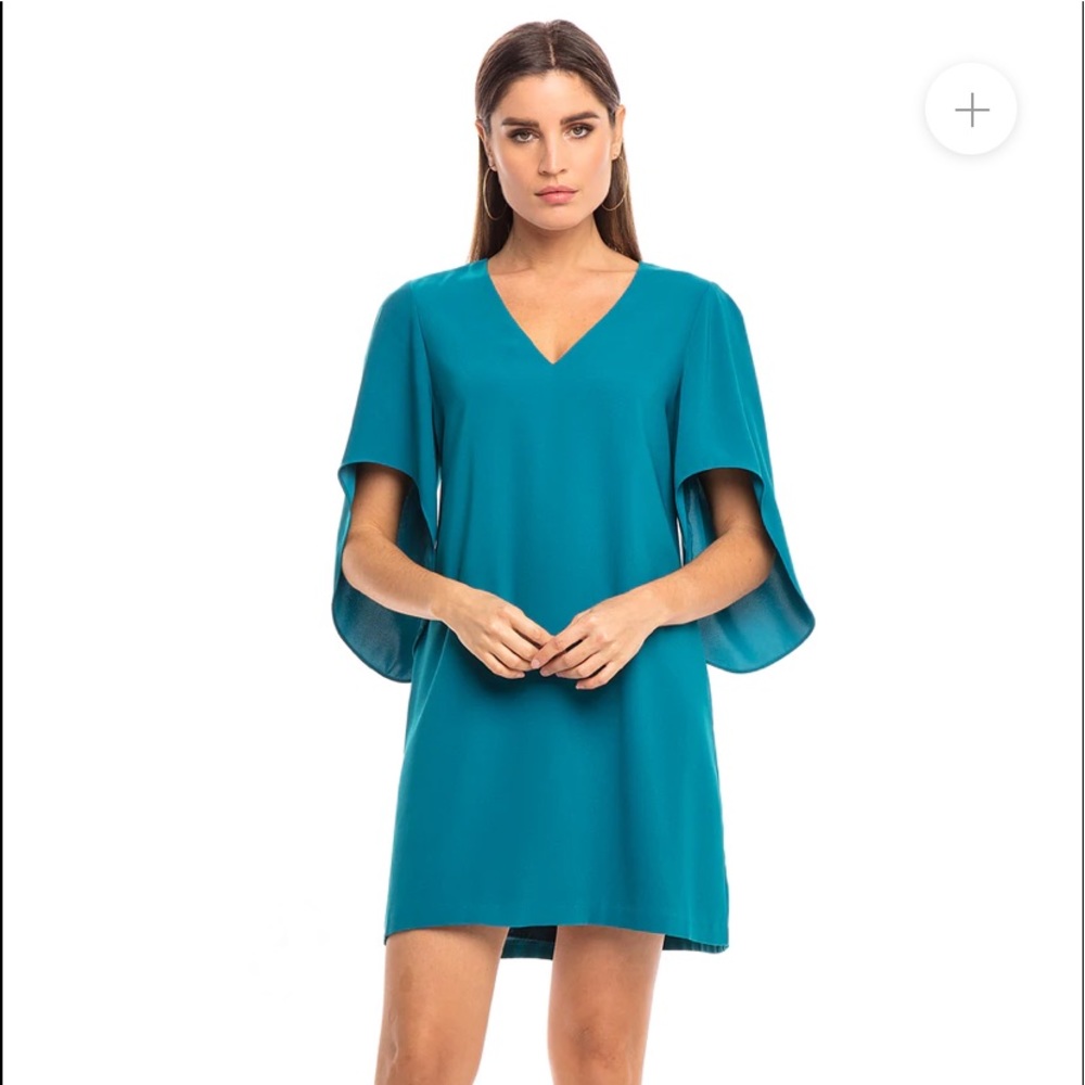 Anna Cate meredith dress XXS